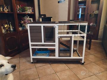 gabbia per conigli, coniglietti nani e cincillà 