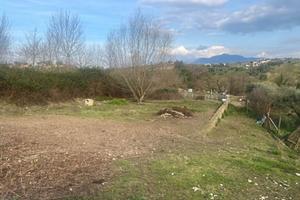 Terreno con progetto approvato