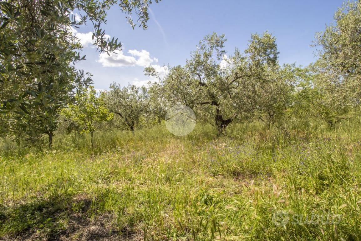 TER. AGRICOLO A MORICONE - Vista 6