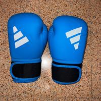 Attrezzatura per boxe