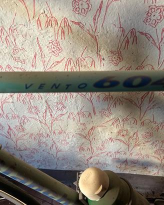 Bianchi vento 604