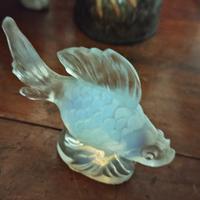 pesce di vetro Jobling Opalique opalescente