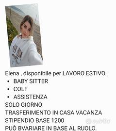 Badante ,lavoro Estivo