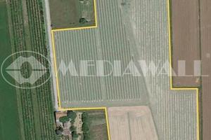 Casale a Portogruaro