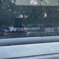 Carryboy