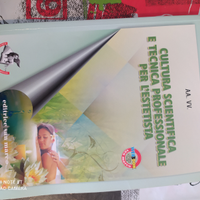 Cultura scientifica e tecnica professionale per l'