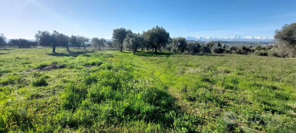 Immobile in asta di 6583 m² a Nereto - Vista 2