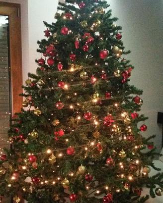 Albero di Natale