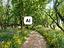 Immagine 16