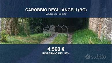 Immobile in asta di 5730 m² a Calcinate