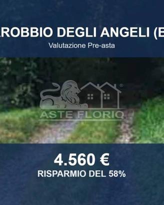 Immobile in asta di 5730 m² a Calcinate