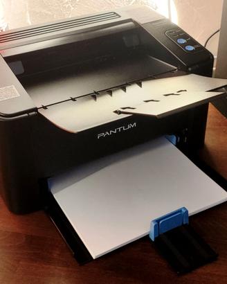 Stampante PANTUM P2502W