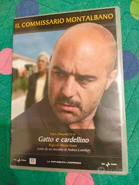 Dvd gatto e cardellino 