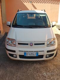  Panda dynamic con carrello 