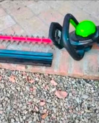 taglia siepe elettrick greenworks