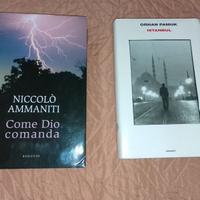 Istanbul - Pamuk, Come Dio comanda - Ammaniti