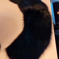 Collo nero di Visone 