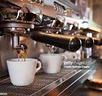 bar-gelateria-in-cessione-a-treviso-tv-