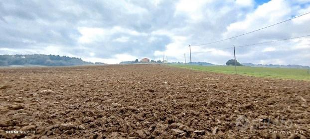 Terreno Agricolo con Vista Mare