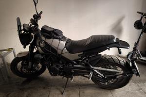 Benelli Leoncino 500 - 2019