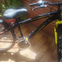 bicicletta ragazza/o