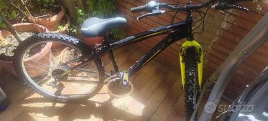 bicicletta ragazza/o