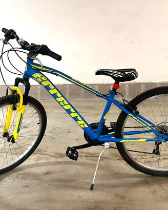 Bici Mtb