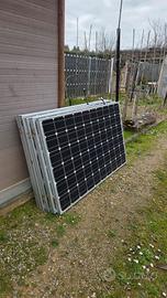 pannello fotovoltaico sharp 245 watt