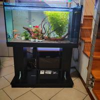 acquario 200 litri 