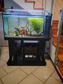 acquario 200 litri 