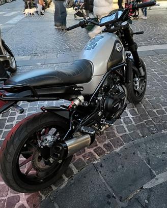 Benelli Leoncino 500