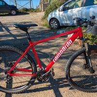 Bicicletta MTB 29