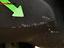 Immagine 14