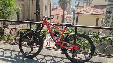 Bici enduro/downhill/freeride