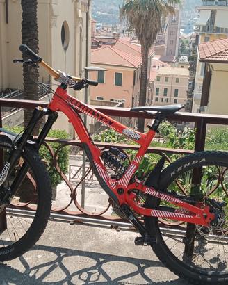 Bici enduro/downhill/freeride
