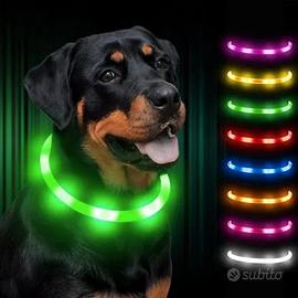 Collare a LED per animali