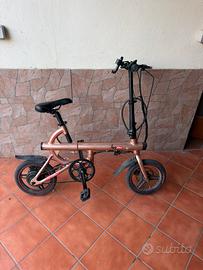 Bici Elettrica