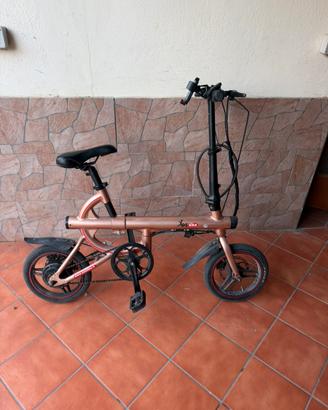 Bici Elettrica