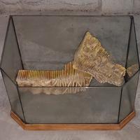 Tartarughiera elegante in vetro e rifiniture legno