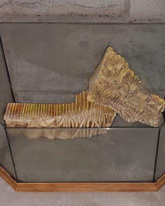 Tartarughiera elegante in vetro e rifiniture legno