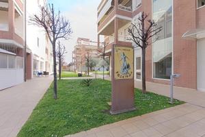 MULTILOCALE A PINETO