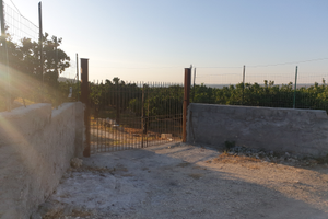 Agrumeto c/da sabuci