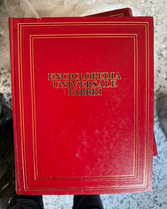 Collezione: dizionari ed enciclopedie