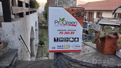 soffiatore aspiratore 