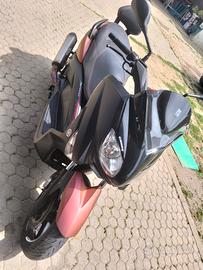 x max sport 259