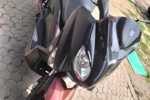 x max sport 259
