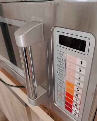 forno microonde professionale