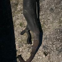 marmitta piaggio Sp3