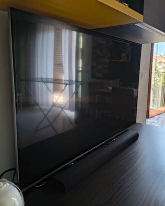 Samsung 55 pollici
