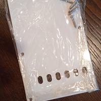 PIASTRA COPRI MOLLE CHITARRA ELETTRICA 